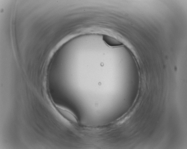 X0000083061525200702232008