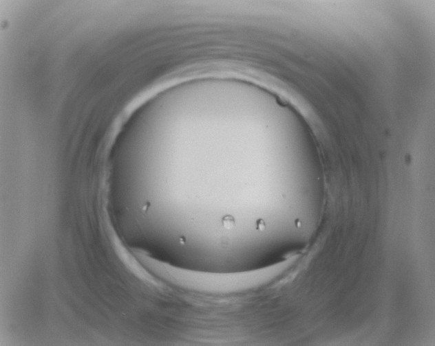 X0000083061526200702232008