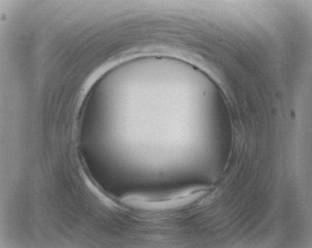 X0000083061527200702232008