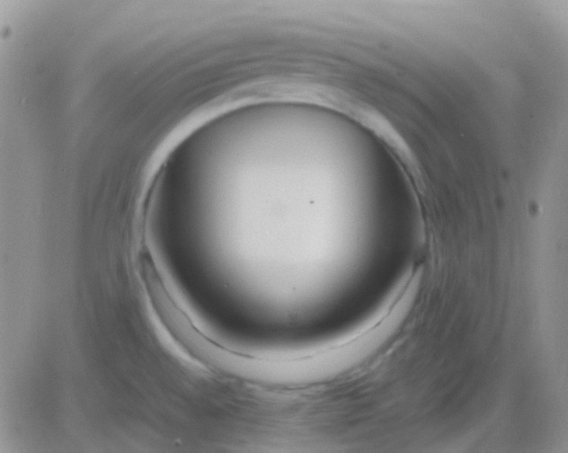 X0000083061528200702232008