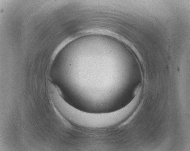 X0000083061529200702232008