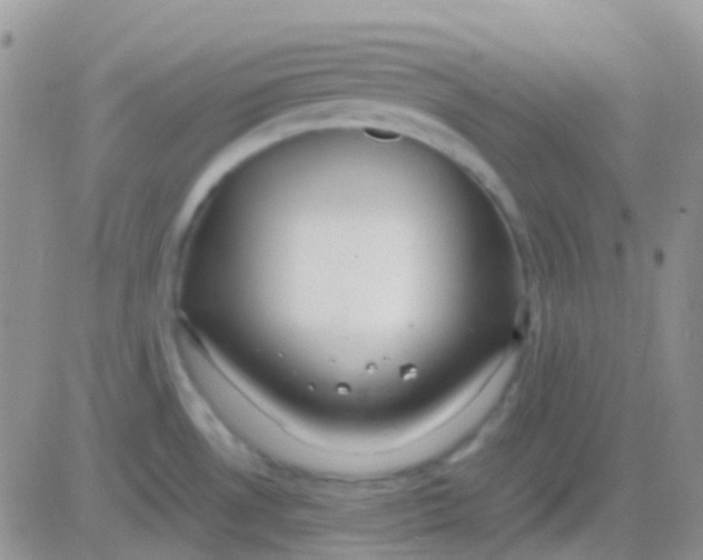 X0000083061530200702232008