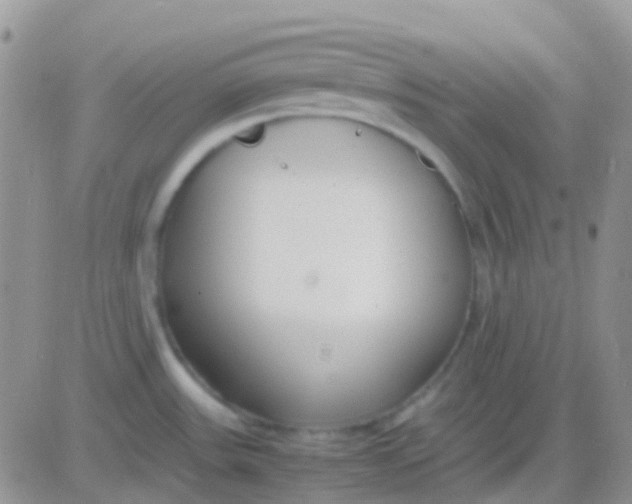 X0000083061531200702232008