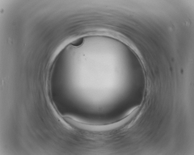 X0000083061533200702232008