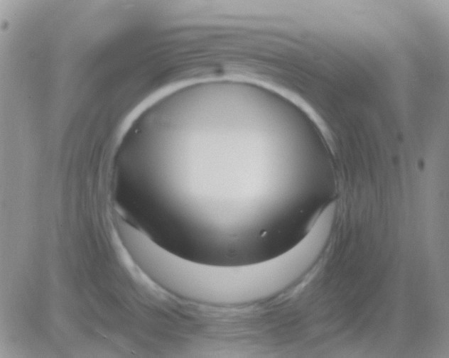 X0000083061534200702232008