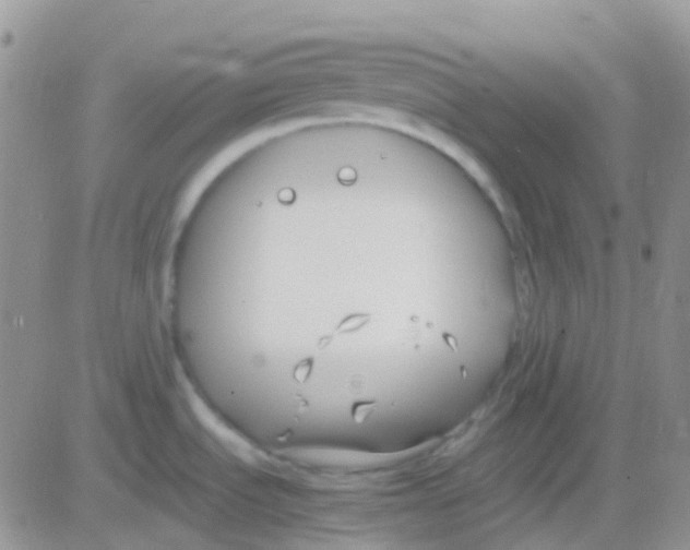 X0000083061535200702232008