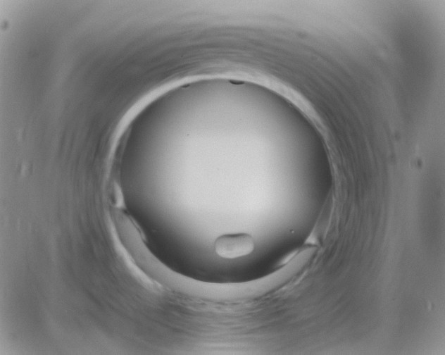 X0000083061536200702232008