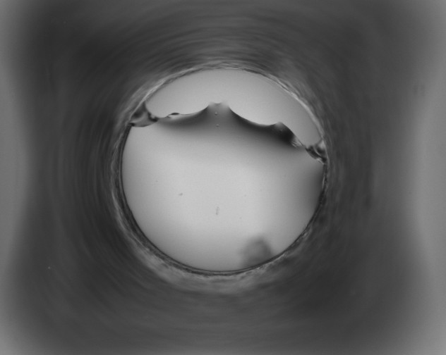 X0000083060001200703022144