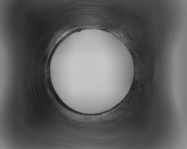 X0000083060002200703022144