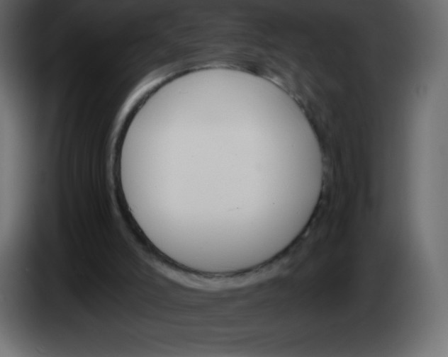 X0000083060006200703022144