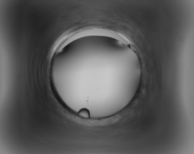 X0000083060007200703022144