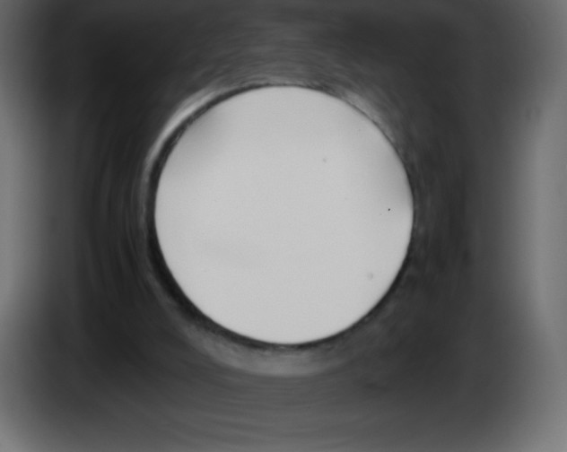 X0000083060008200703022144