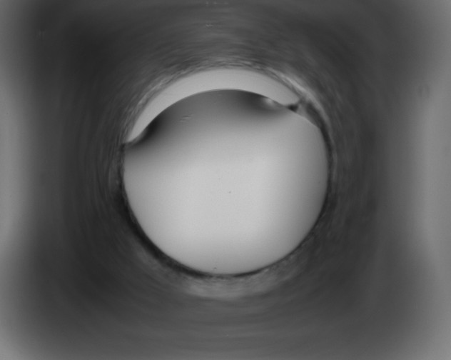 X0000083060009200703022144