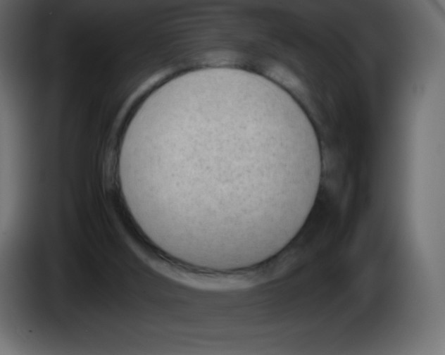 X0000083060012200703022144