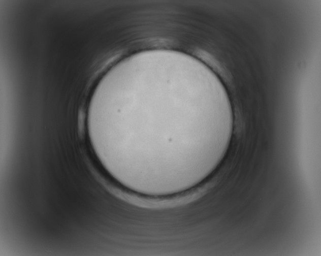 X0000083060014200703022144