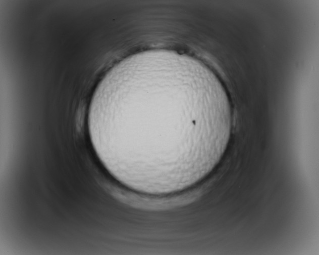 X0000083060018200703022144