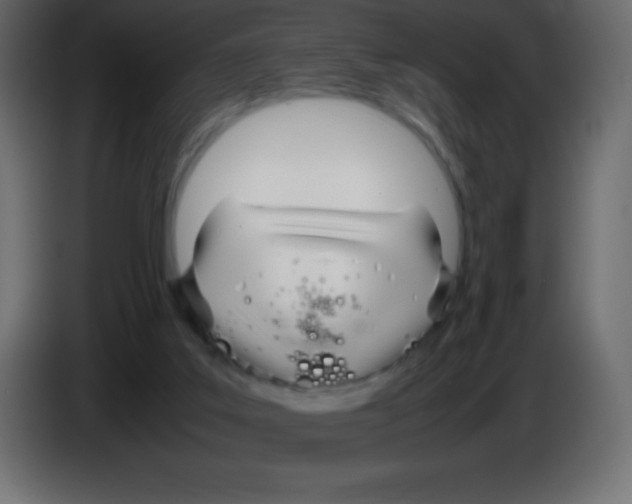 X0000083060019200703022144