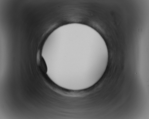 X0000083060020200703022144