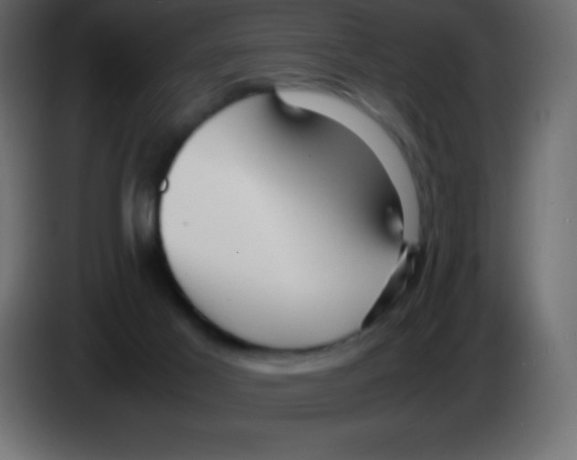 X0000083060021200703022144