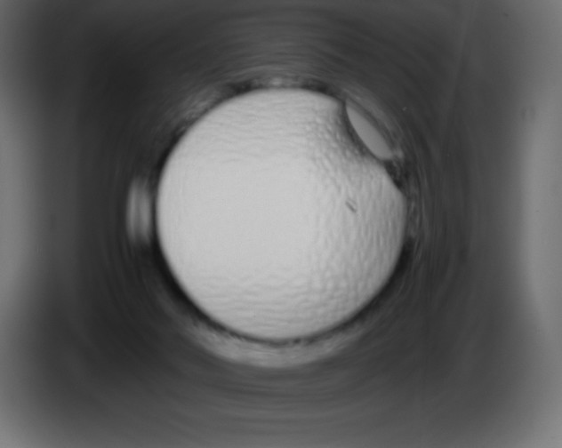 X0000083060022200703022144