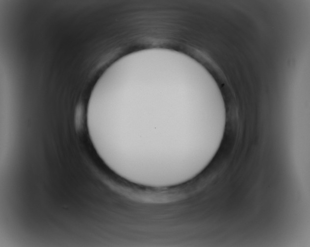 X0000083060024200703022144