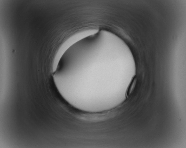 X0000083060025200703022144