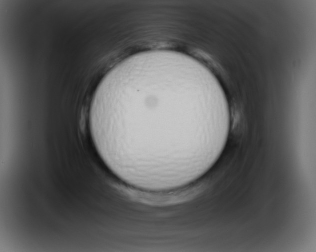 X0000083060026200703022144