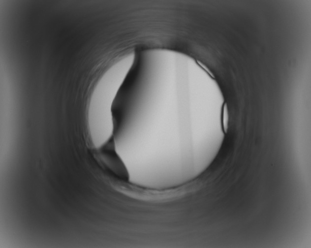 X0000083060027200703022144