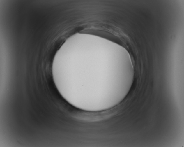 X0000083060029200703022144