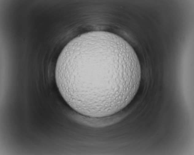 X0000083060030200703022144