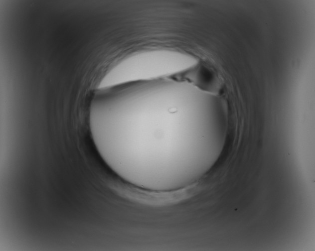 X0000083060031200703022144