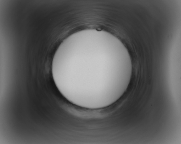 X0000083060032200703022144