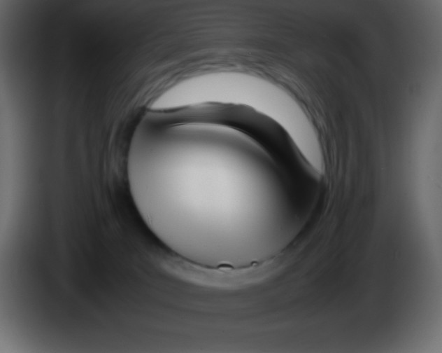 X0000083060035200703022144