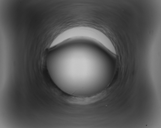 X0000083060037200703022144