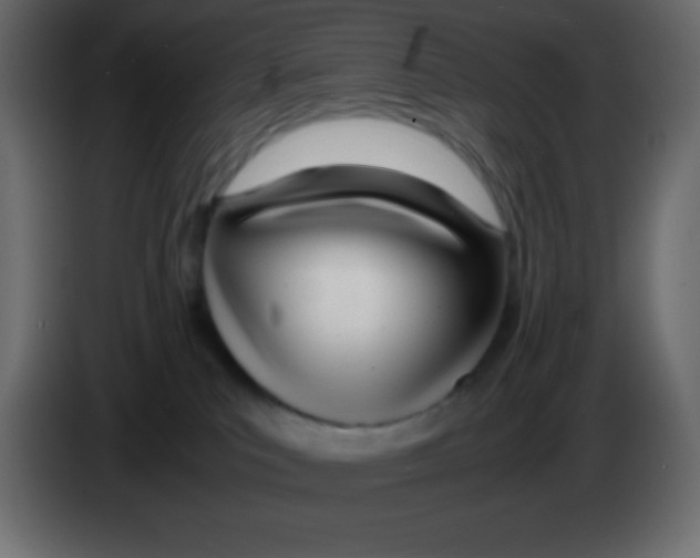 X0000083060039200703022144