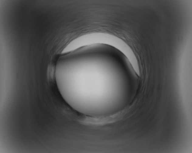 X0000083060041200703022144