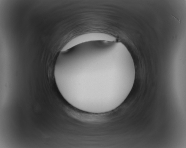 X0000083060044200703022144