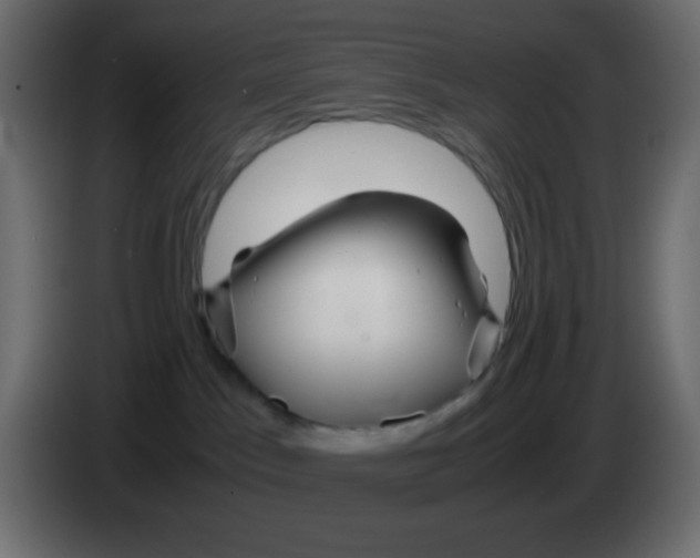 X0000083060045200703022144