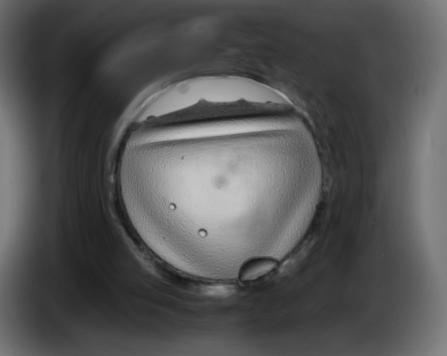 X0000083060053200703022143