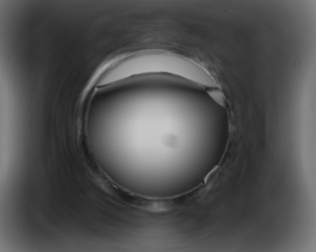 X0000083060056200703022143