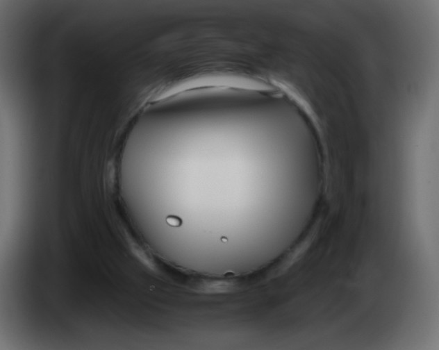 X0000083060057200703022143