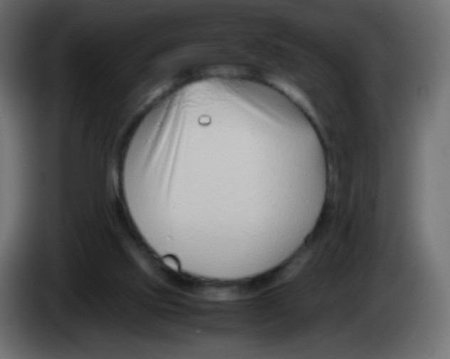 X0000083060061200703022143