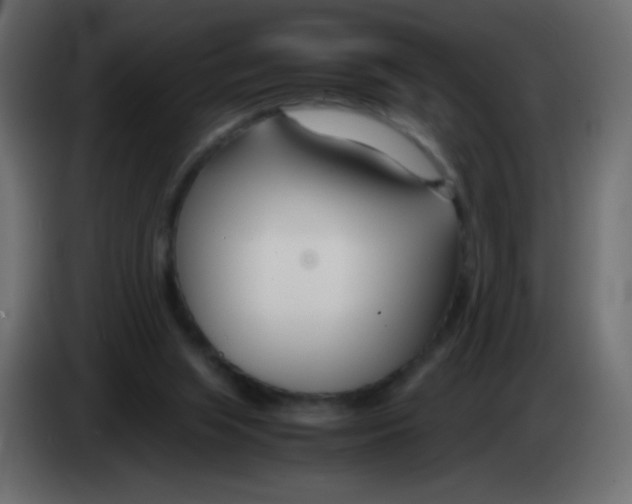 X0000083060063200703022143