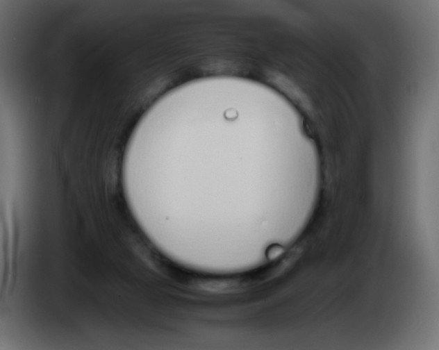 X0000083060065200703022143