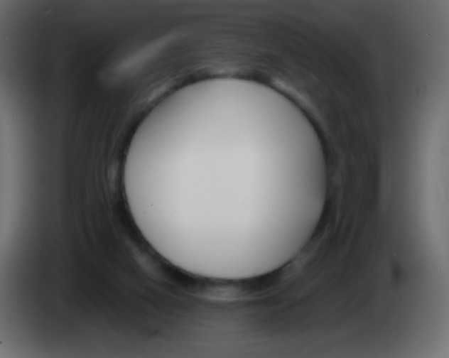 X0000083060066200703022143