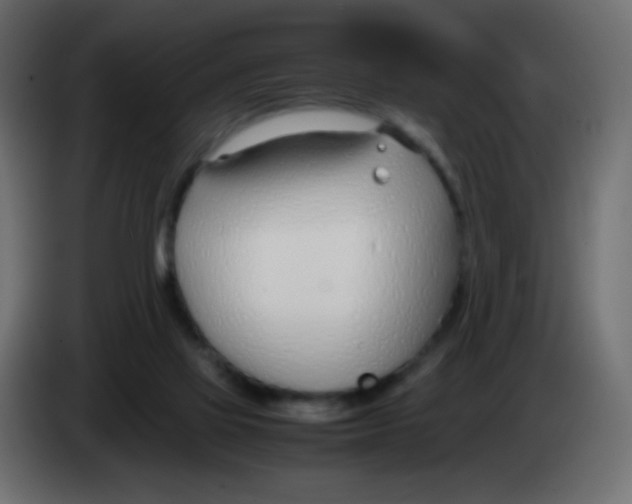 X0000083060069200703022143