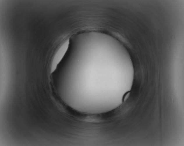 X0000083060070200703022143