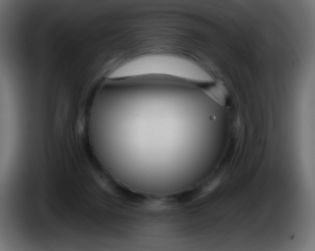 X0000083060072200703022143