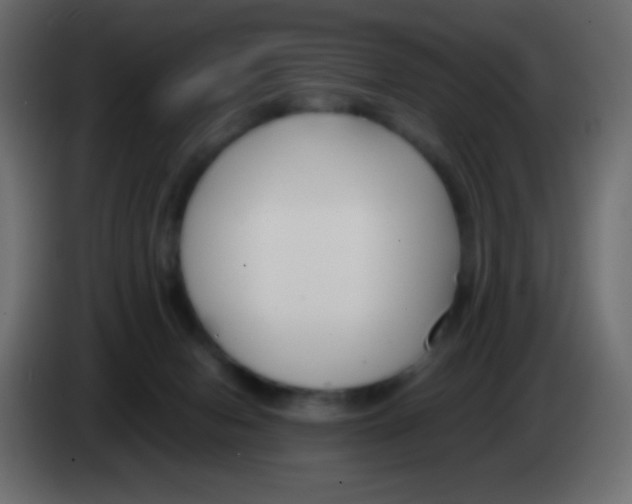 X0000083060078200703022143