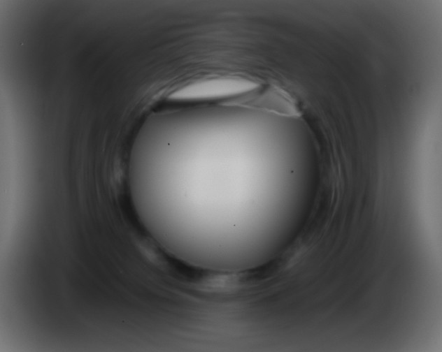 X0000083060084200703022143